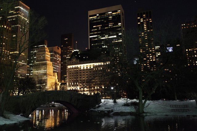 Central Park By Night