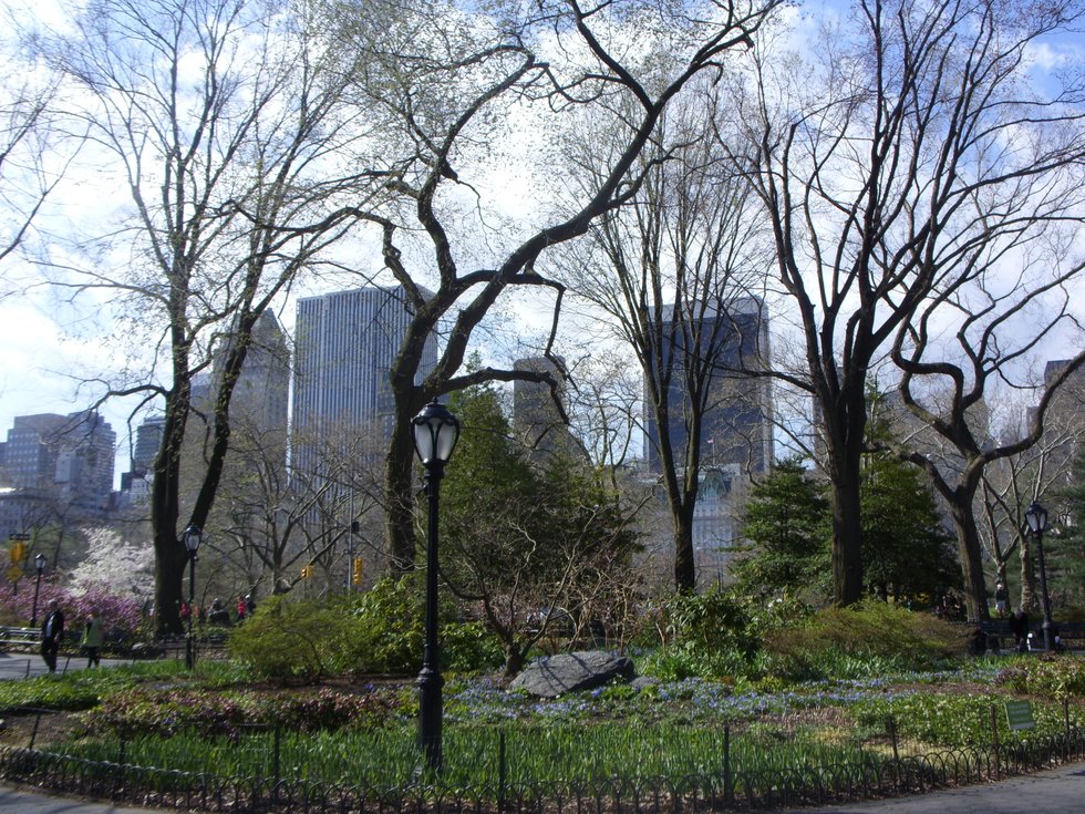Central Park