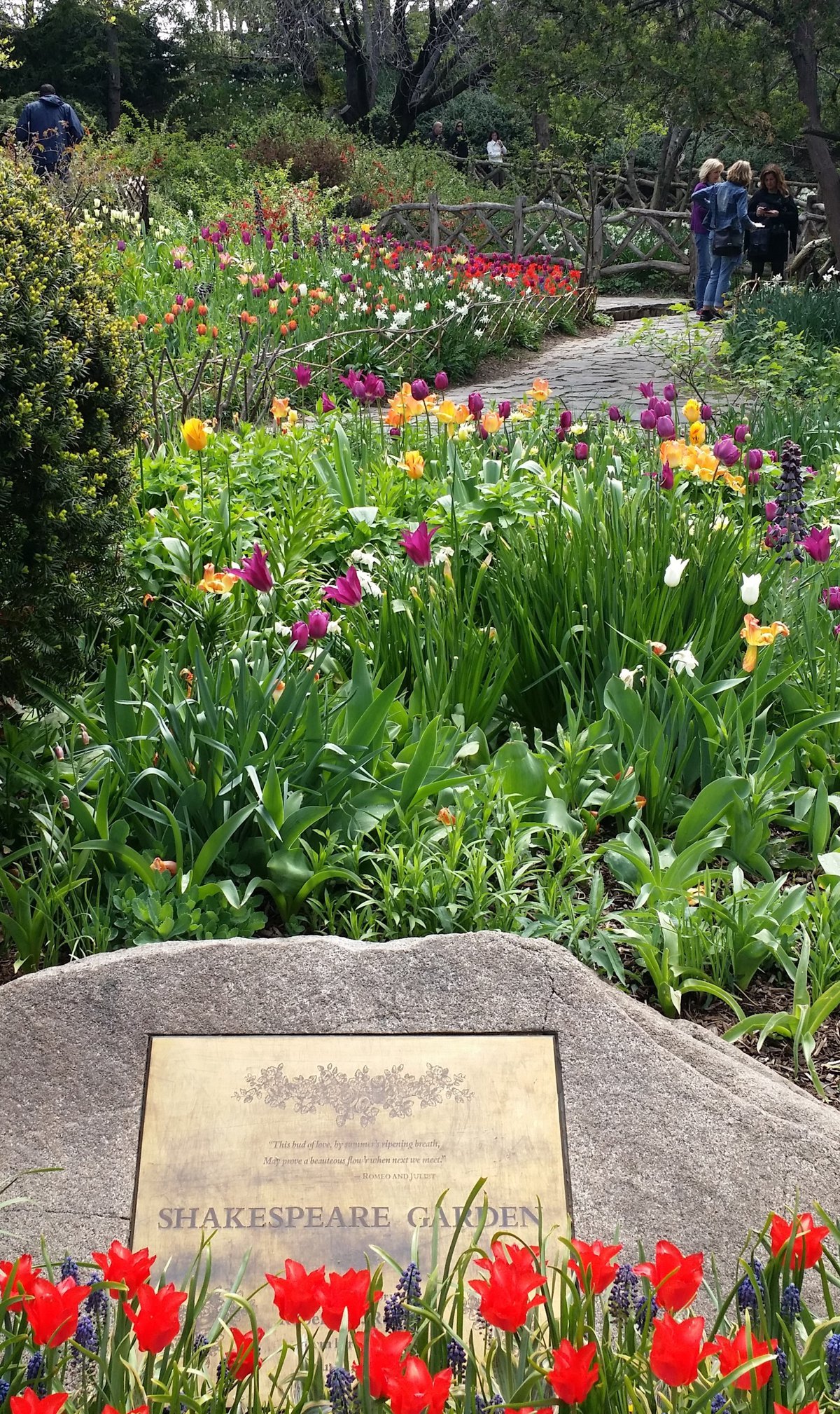 Photo entry: Shakespeare Garden