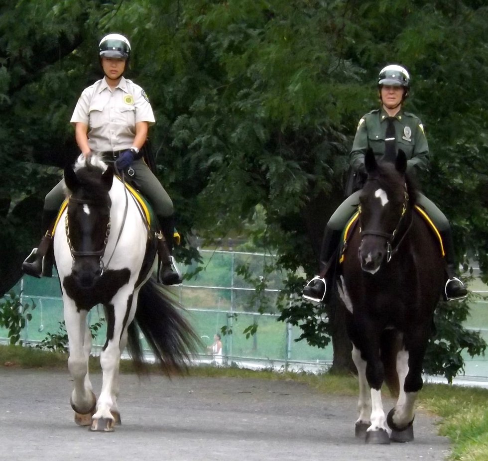 Park Rangers and Their Beautiful Horses