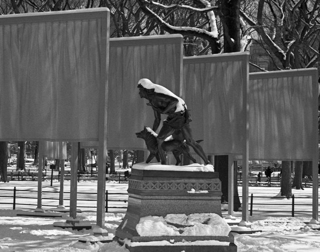 The Gates - Central Park Feb 2005