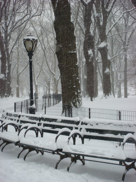 Central Park during winter