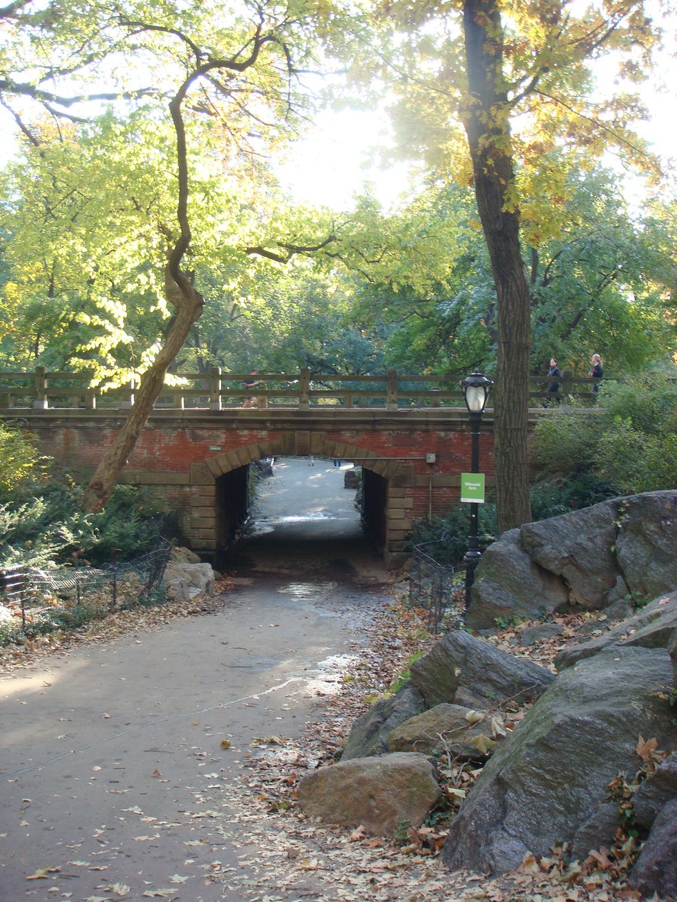Central Park's Willowdale Arch