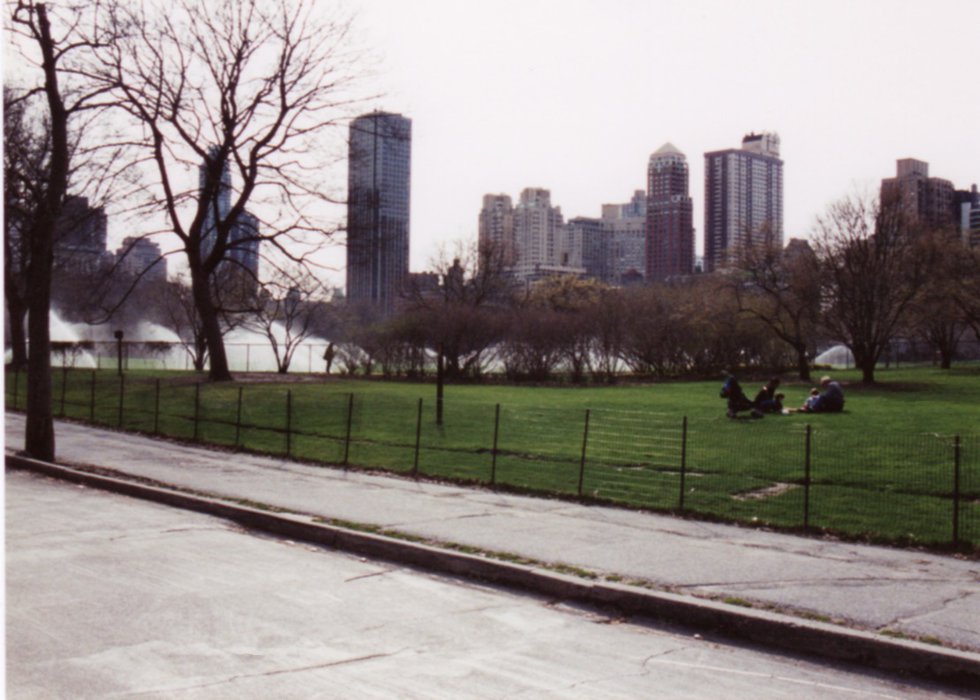 A View from Central Park