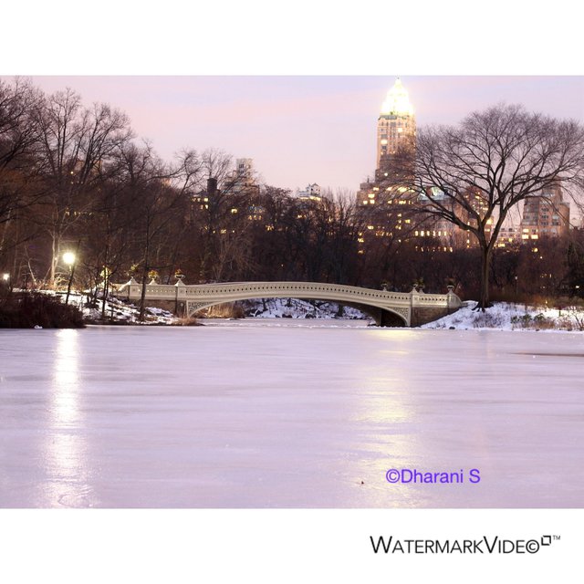 Central park Lake Snow View