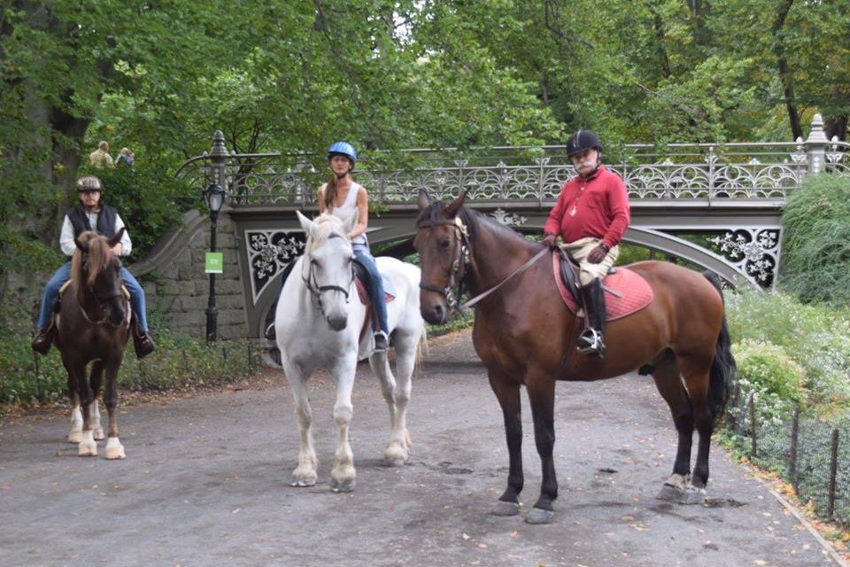 Horseback riding, on the Bridle Path in Central Park