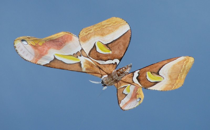 Giant butterfly-shaped kite