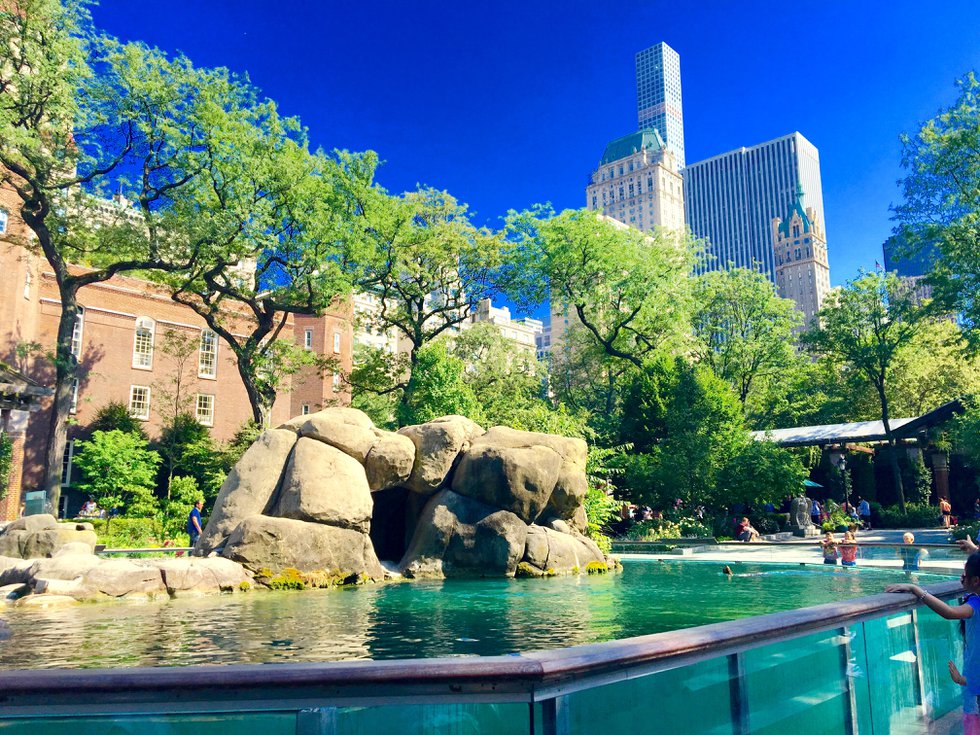 Central Park ZOO