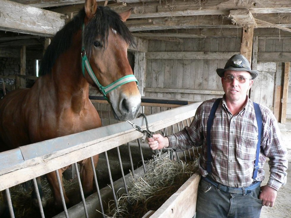 Lancaster_Farm.jpg.jpe