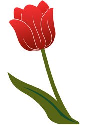 tulip.jpg.jpe