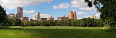 Sheep Meadow Skyline