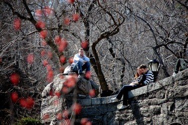 in the season of love