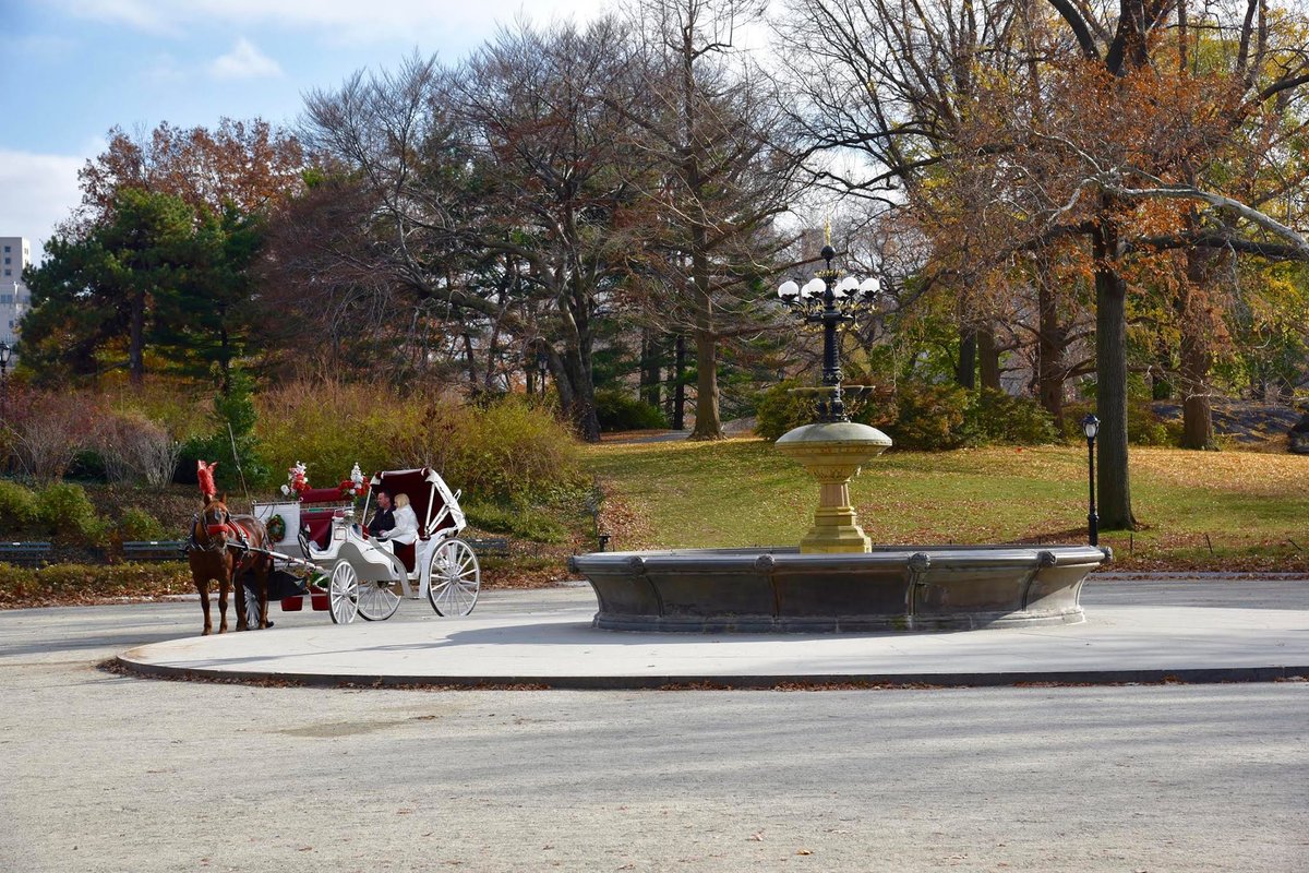 Cherry Hill In Central Park