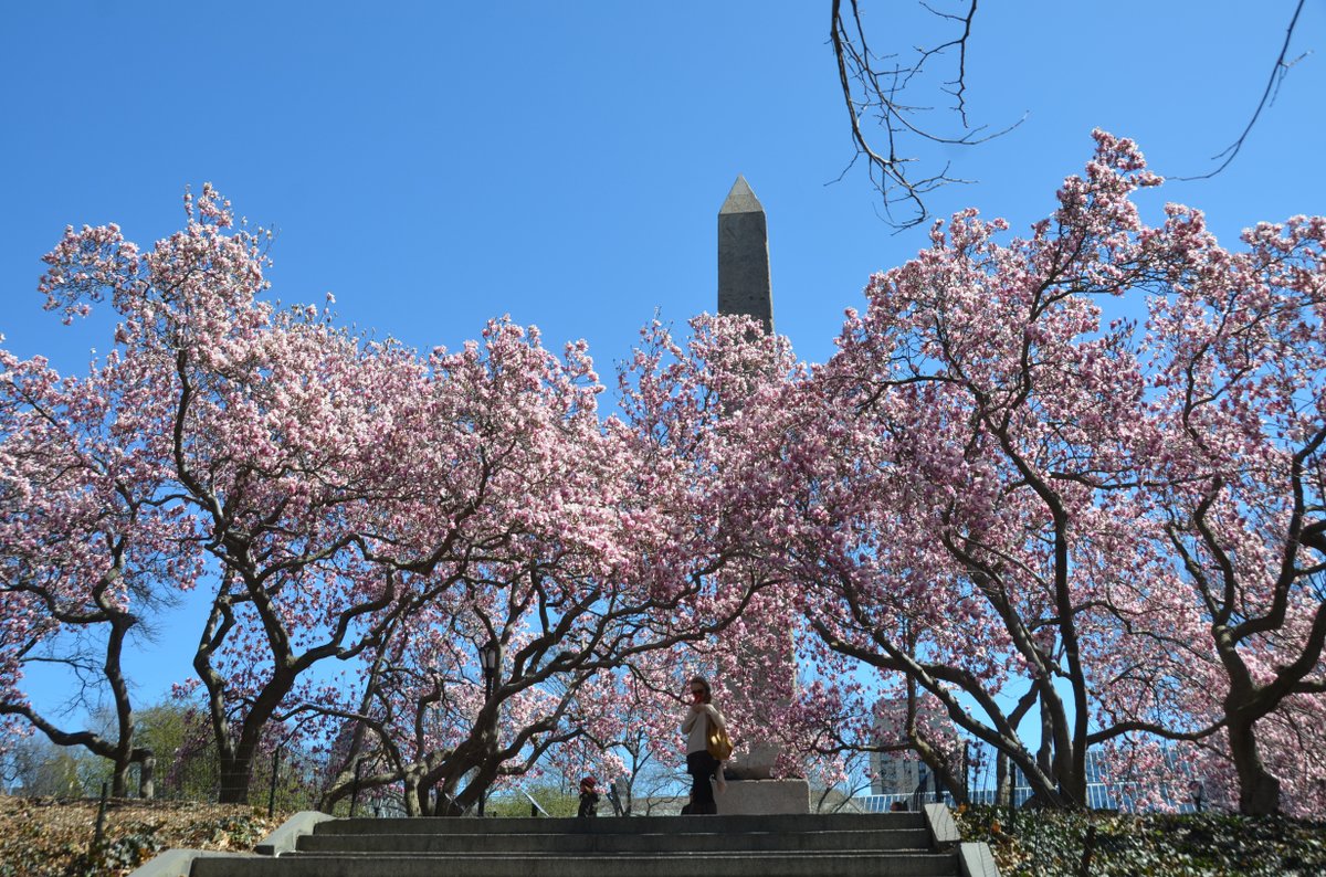 10 Little Known Facts About The Central Park Obelisk Cleopatra S Needle