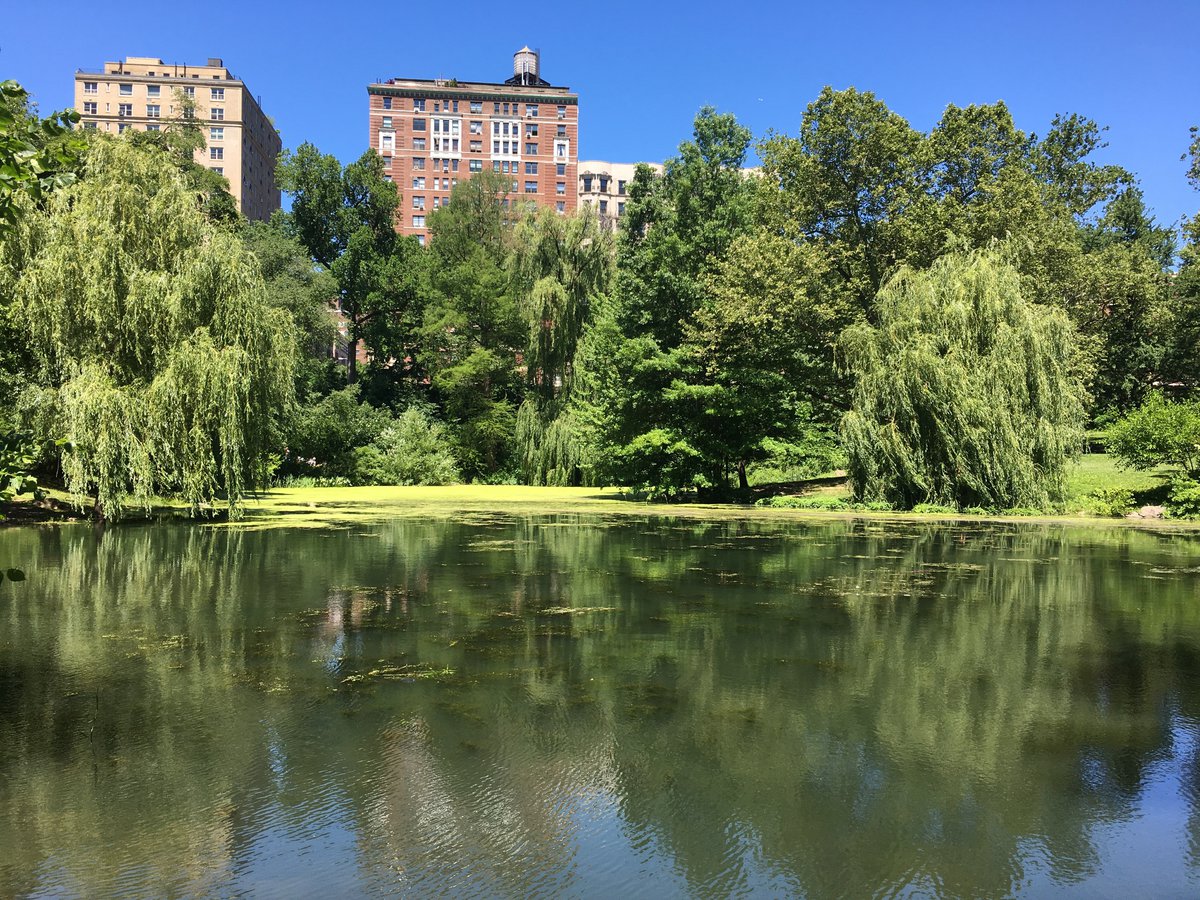 Top 10 Off-The-Beaten Path Areas to Visit in Central Park