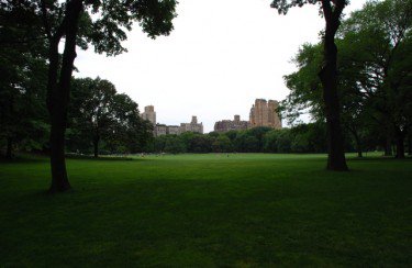 the great lawn