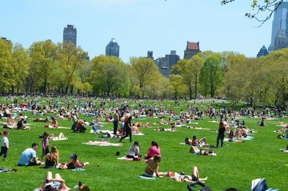 Central Park Spring