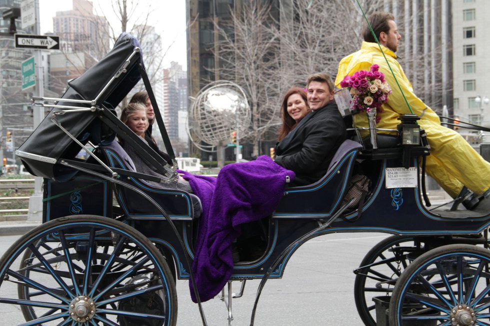 horse buggy ride central park