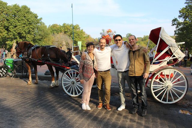 Central Park Horse Carriage Rides