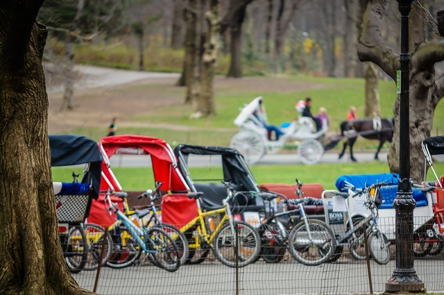 basket montante puma garcon