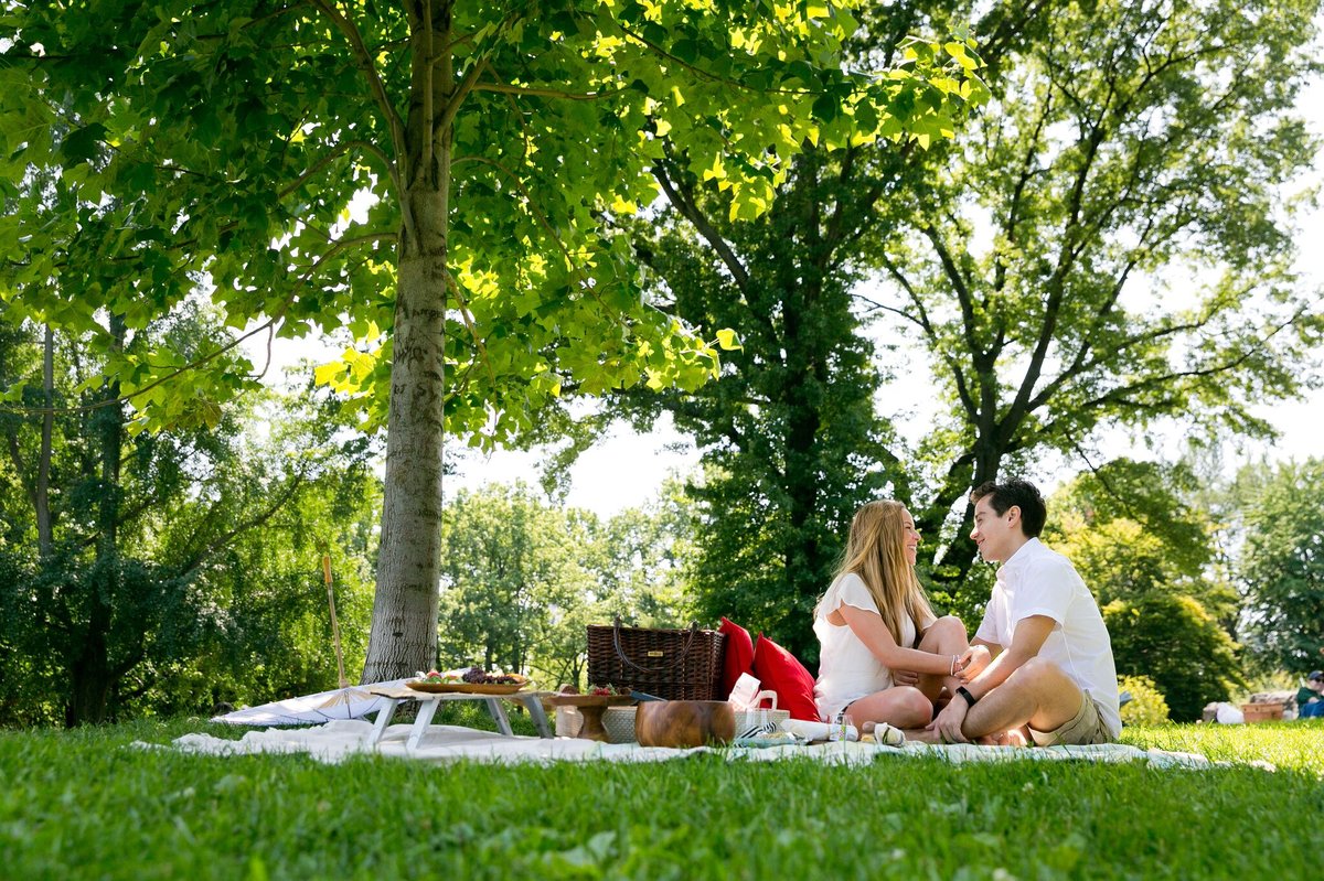 DiegoMarcia%20proposal%20picnic%203.jpg