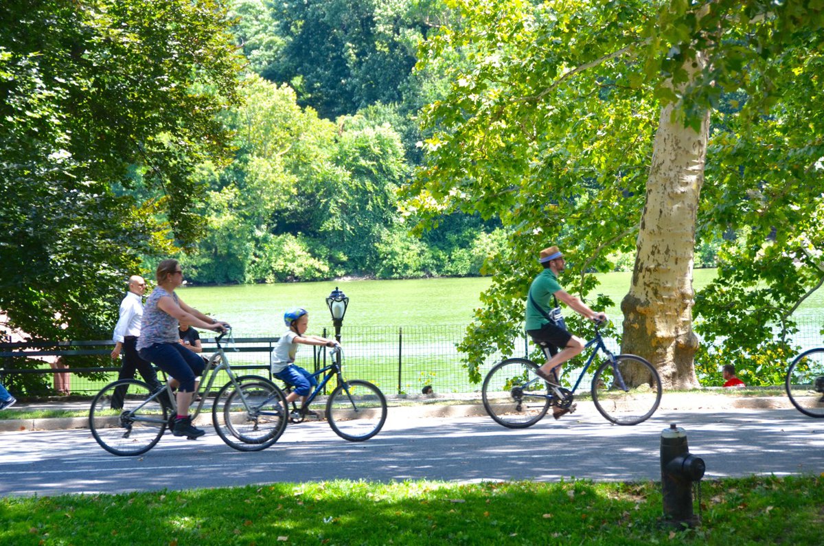 Bicycle Riding in Central Park NYC