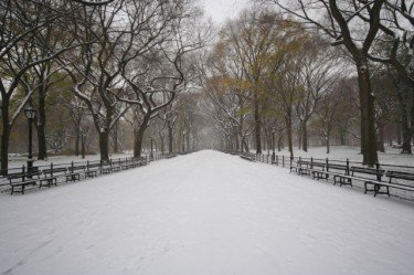 Snowfall At The Mall