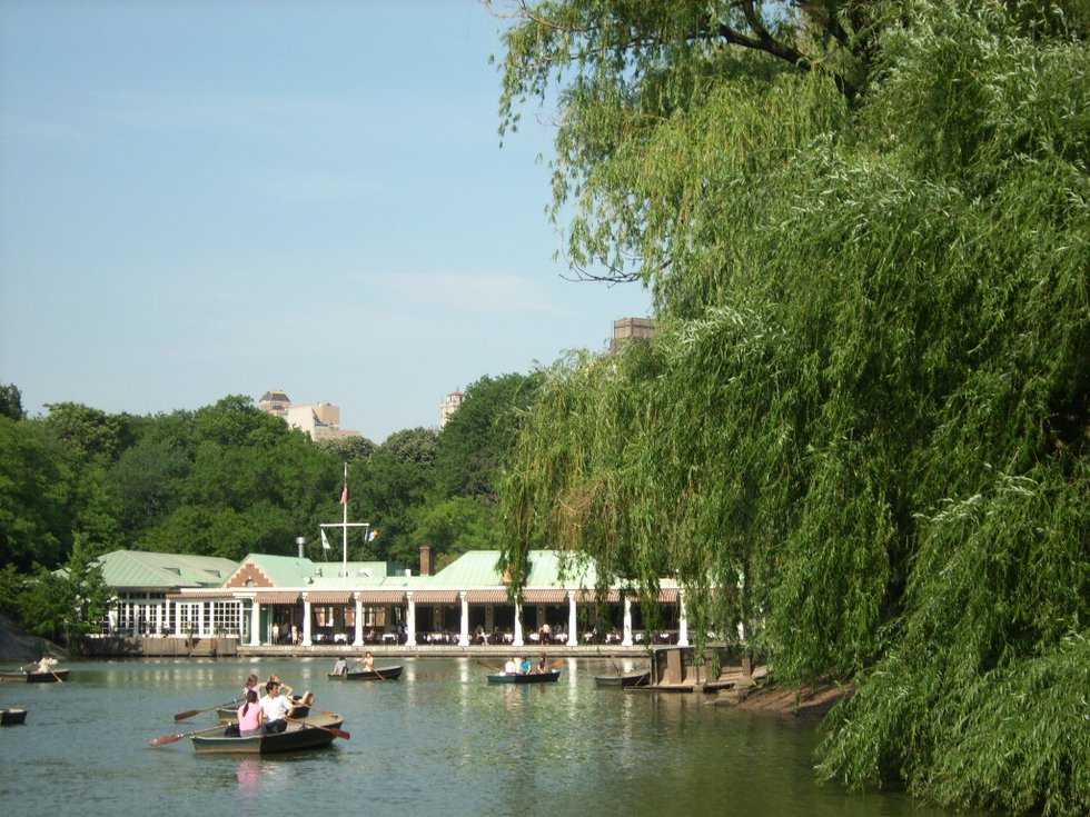 Willows in front of the Boathouse
