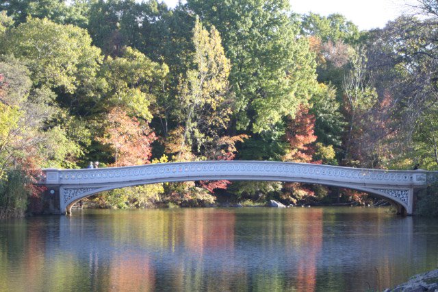 Bow Bridge in The Fall