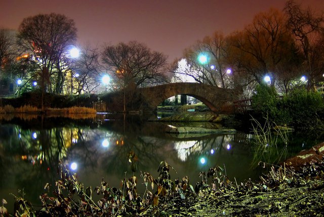 Night on The Pond