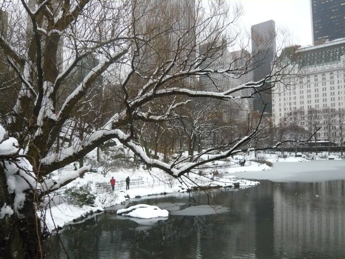 Winter on Central Park
