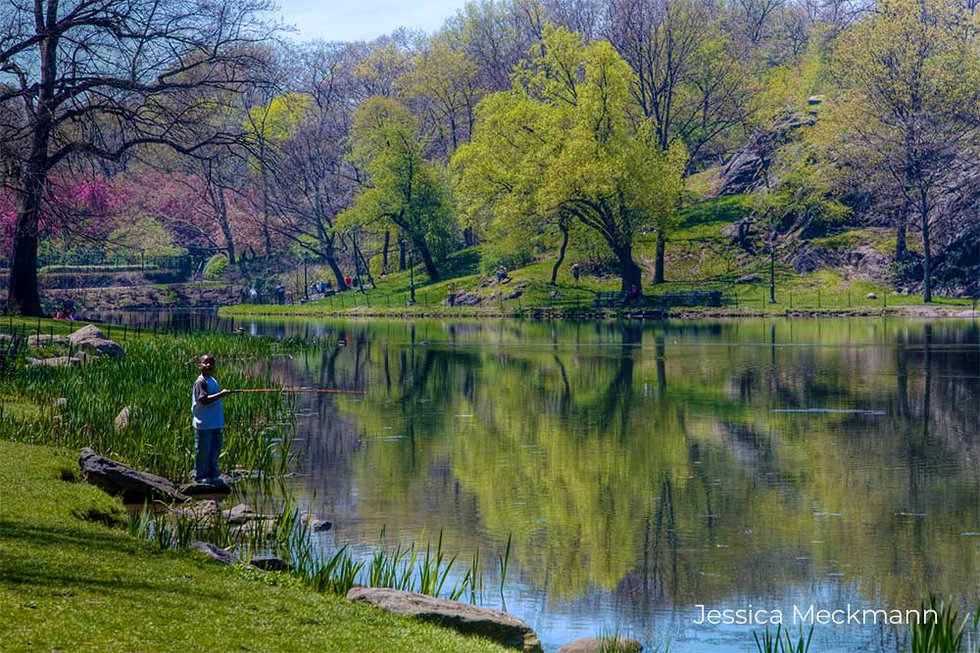 Fishing in Central Park