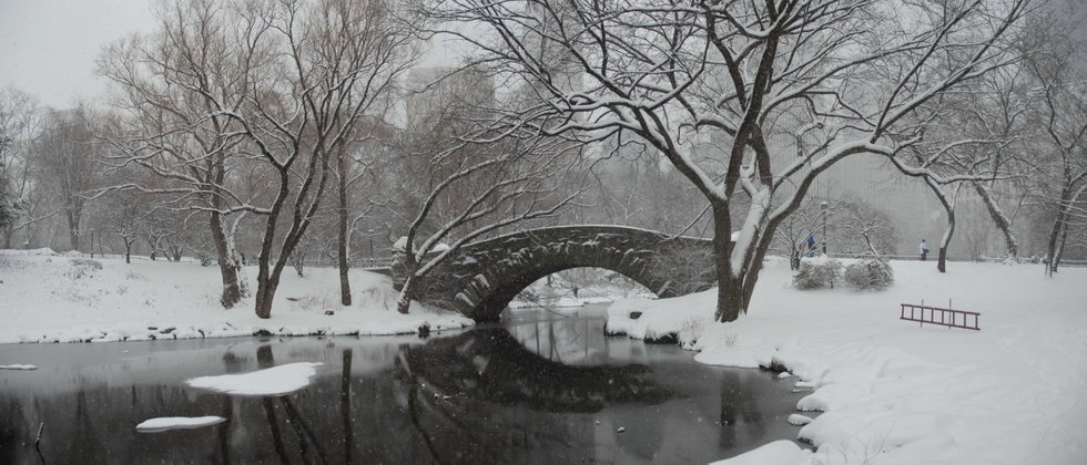 Bridge &amp; Snow